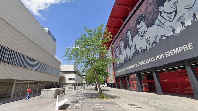 Foto 290915d9-8b2c-42a9-90e2-fd598d229f0b. Pis a La Buhaira Sevilla