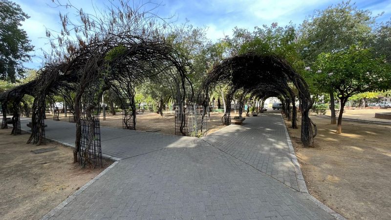 Foto 6488cb1f-a7bf-4284-b4bb-4e1e91f02534. Pis a Tiro de Línea Sevilla