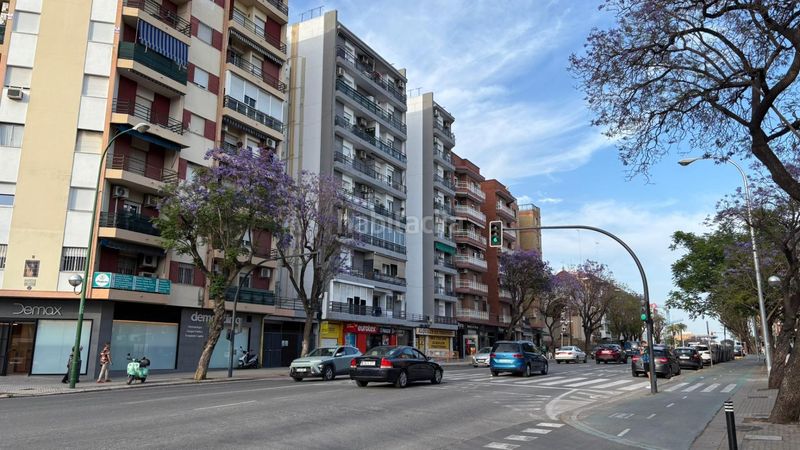 Foto 107a4ff4-9c72-4c13-9904-711e41a1f588. Pis a Barrio del Nervión Sevilla