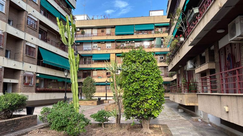 Foto d78cad07-5e34-4460-940e-367d586b7d24. Pis a Barrio del Nervión Sevilla