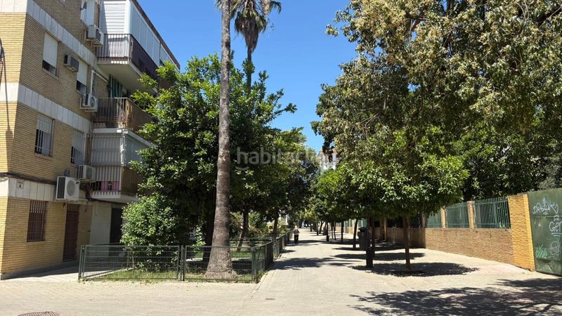 Foto 39a71f04-e5ac-442e-93d6-27922b36fd0a. Pis a La Plata Sevilla