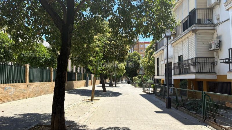 Foto 83d29bd6-6359-4f58-94bf-7ad72fb3268f. Pis a La Plata Sevilla