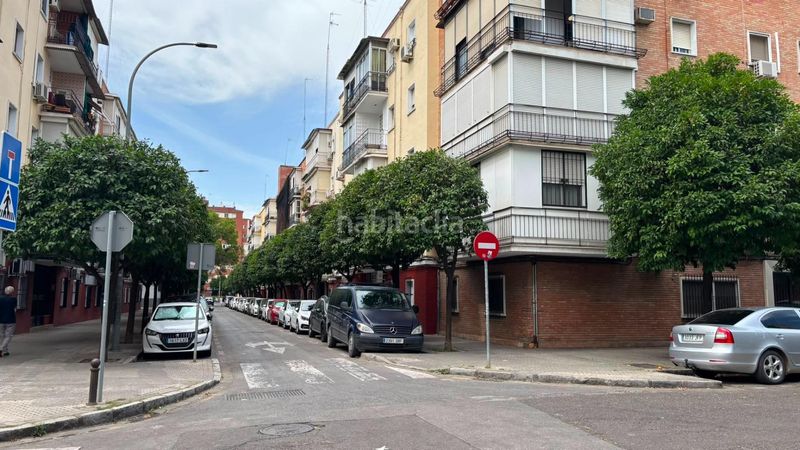 Foto d3ea6b2f-308b-4a15-ba95-ad3060a13e80. Pis a El Plantinar - Avda. La Paz - El Juncal Sevilla