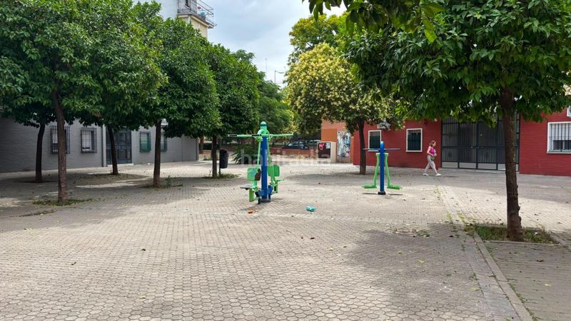 Foto d5cff209-b641-4b48-90e2-02135670b583. Pis a El Plantinar - Avda. La Paz - El Juncal Sevilla