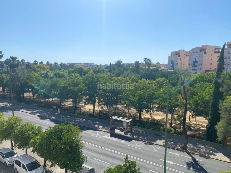 Foto 5ae253fd-ec8c-473a-8b90-494d302eddd3. Pis a La Oliva Sevilla