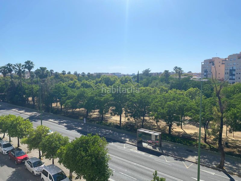 Foto 693fc04c-6389-4567-ae3f-1d0a7b0cad38. Pis a La Oliva Sevilla