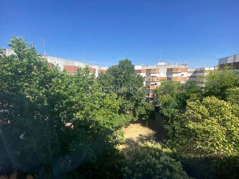 Foto 91c43e30-2c39-40ff-86e7-68243d7116de. Pis a La Oliva Sevilla