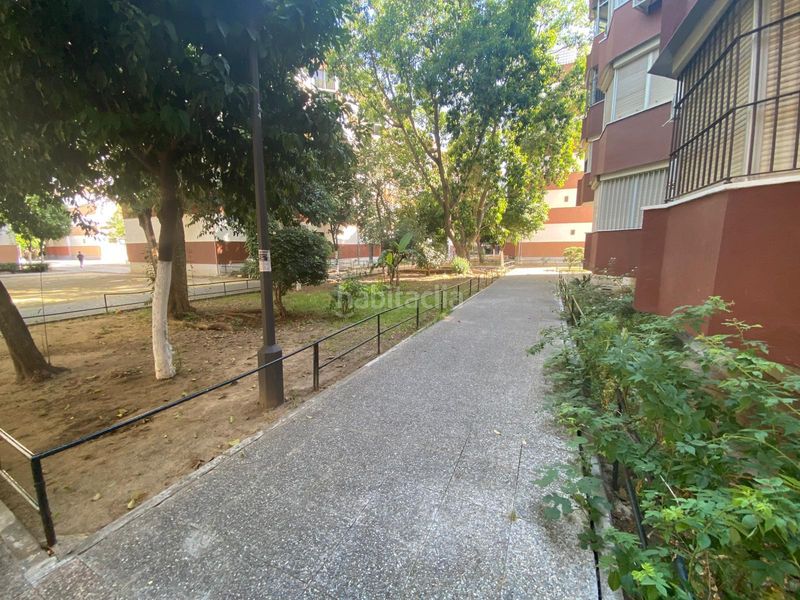 Foto 9dcd1b59-bf44-47bc-b665-e7cad0507867. Pis a La Oliva Sevilla