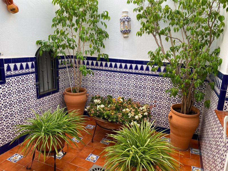 Foto 42ff1801-8a84-49ea-a54d-923267605642. Casa amb calefacció a El Cerro Sevilla