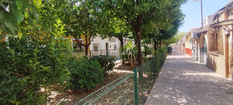 Foto 746de442-db7c-48a0-b134-dc97990608b2. Pis a Amate Sevilla