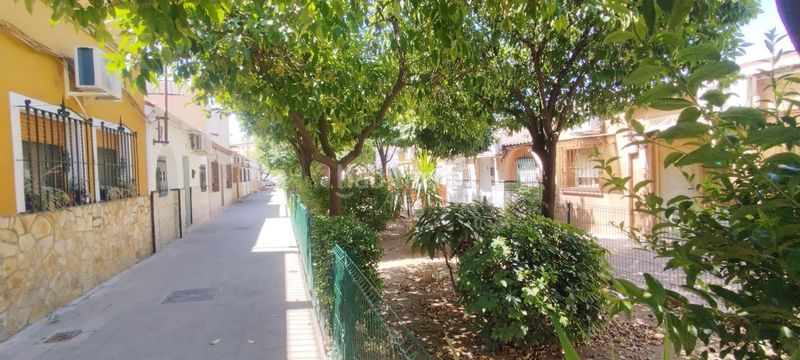 Foto c9737c84-c157-480d-8288-09b4bf33c316. Pis a Amate Sevilla