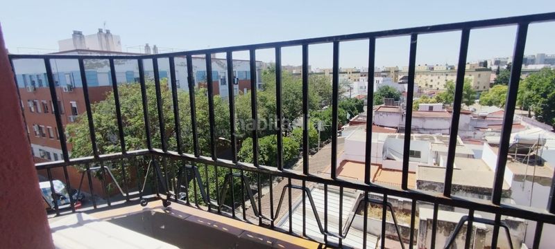 Foto e5720e26-5c11-4ec6-ae9c-2bf91f72e926. Pis a Amate Sevilla