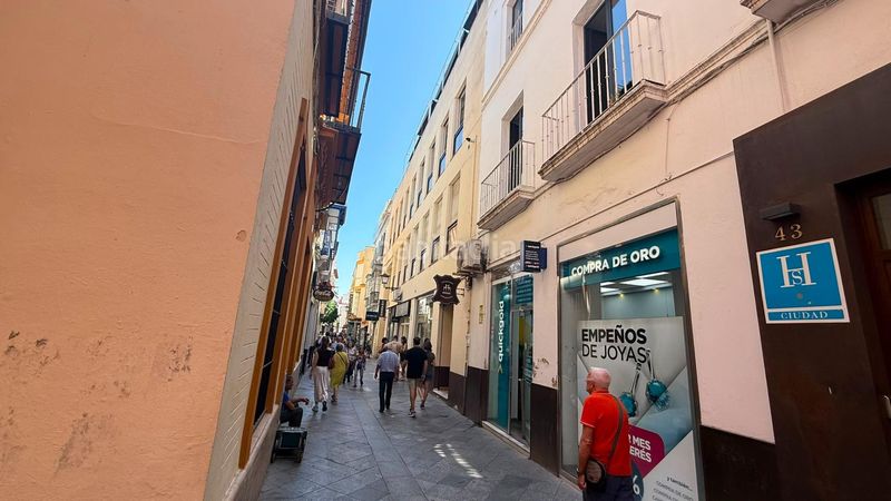 Foto 5bee1823-9ffb-4b9c-bb9d-d1a57992f9e0. Apartament amb calefacció a Arenal - Museo Sevilla