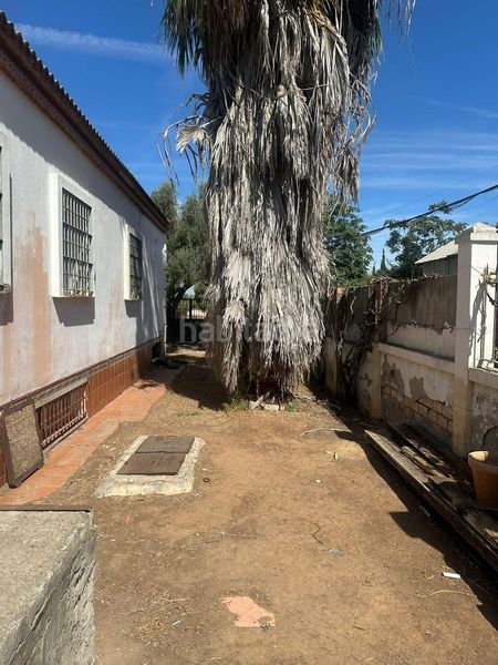Foto 61ef352b-bf0b-4bea-82db-40e1cdacfa56. Casa amb aparcament piscina a Arco Norte - Avda España Dos Hermanas