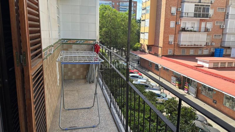 Foto dd9e1b55-2523-4425-b373-8400a143f5cd. Lloguer pis a El Plantinar - Avda. La Paz - El Juncal Sevilla