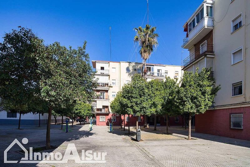 Foto 159ca600-0ead-433b-9664-2b99a2f4beab. Pis a El Plantinar - Avda. La Paz - El Juncal Sevilla