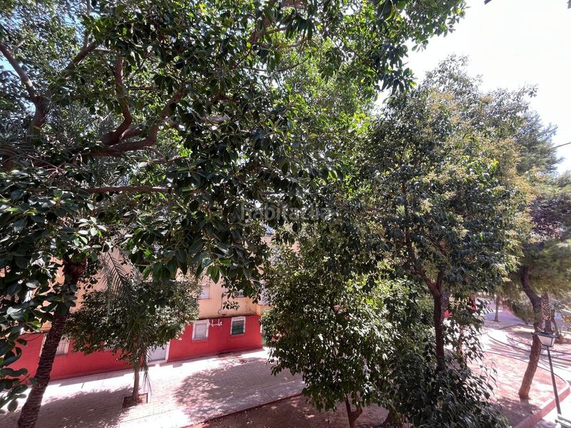 Foto 69c7c9d8-2c28-4357-8bff-256ef31d5bdf. Miete etagenwohnung in Parque María Luisa -Giralda Sur Sevilla