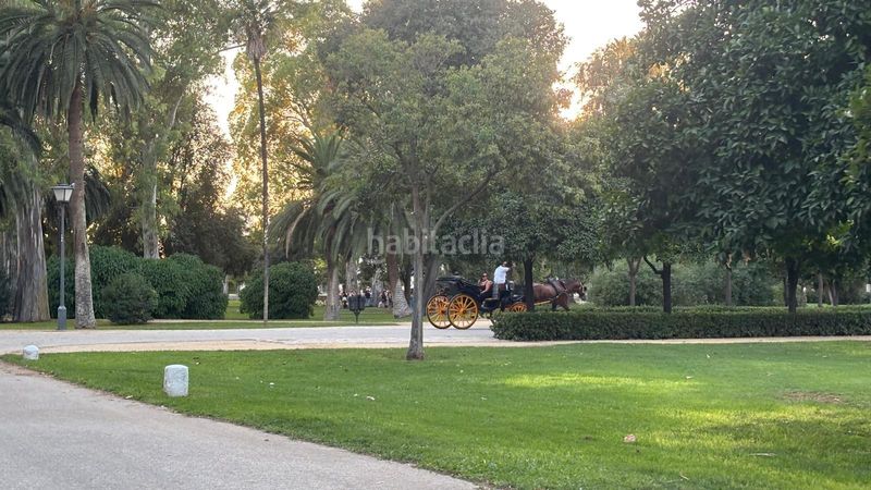 Foto 5c4118af-029d-46d1-baeb-3ac2be5eb9c1. Pis a El Porvenir Sevilla
