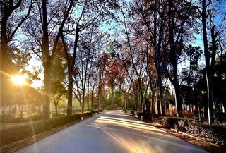 Pis  Calle nuestra sra de la paz. Se vende piso en el corazón del porvenir