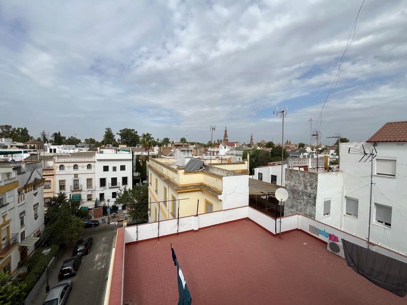 Foto b5e7b8e7-fc1c-41ab-96b9-a3e0ddf5dc01. Pis a El Porvenir Sevilla