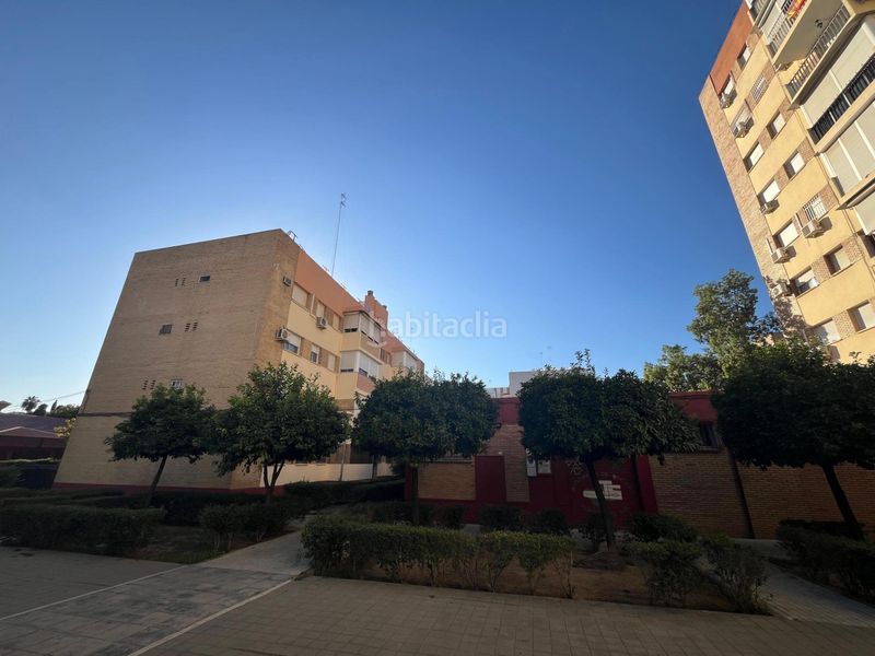 Foto c3d10c25-e937-436f-b420-80cbd022ec09. Lloguer pis a La Oliva Sevilla