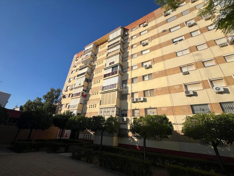 Foto d9bc699e-789e-4771-88d3-0f92e138234e. Lloguer pis a La Oliva Sevilla