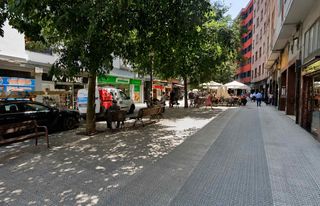 Local Comercial a Trauko Kalea