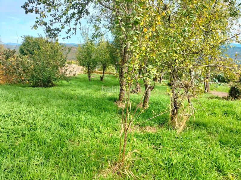 Foto d2725bc3-aa54-4365-9c4b-da0fd606ec3a. Casa aparellada a Fonsagrada (A)