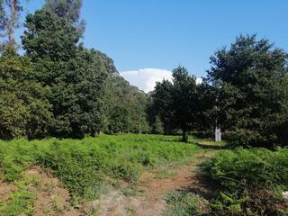 Terreny residencial  Parroquia osedo