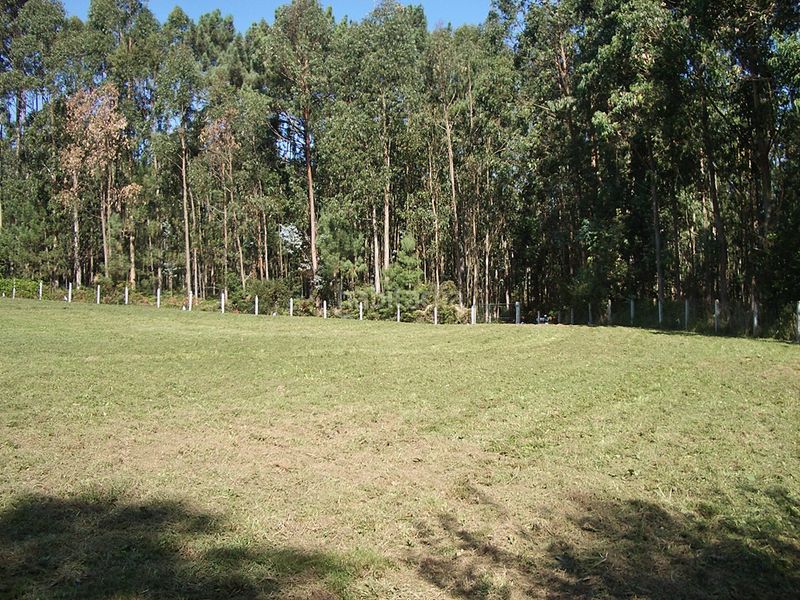 Foto 6be48e16-3857-4a6c-9a24-e96d600b9050. Finca rústica a ac-163 9 a Sada