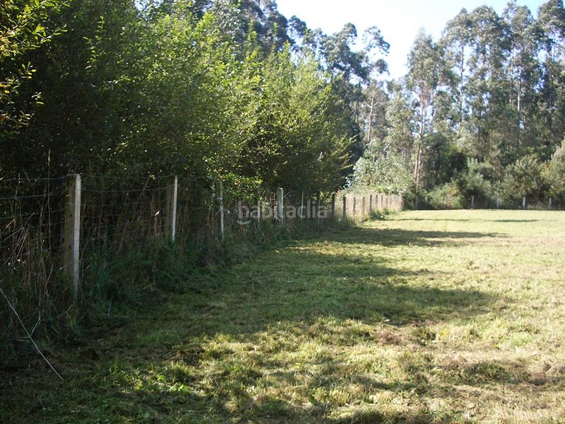 Foto 6fc68412-5bb7-4e8f-8e36-86cd170e24ee. Finca rústica a ac-163 9 a Sada