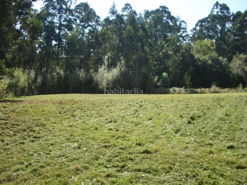 Foto c611450e-6998-47a0-853c-ba1d7144ba76. Finca rústica a ac-163 9 a Sada
