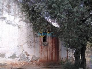 Country house in Cútar. Finca de olivos y almendros con ruina