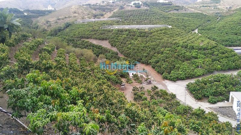 Foto 36fb0f58-b54b-4bb5-afc3-208242e2bfe6. Terrain résidentiel dans Hispanidad - Vivar Téllez Vélez - Málaga