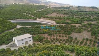 Terreny residencial a Hispanidad - Vivar Téllez. Finca en producción