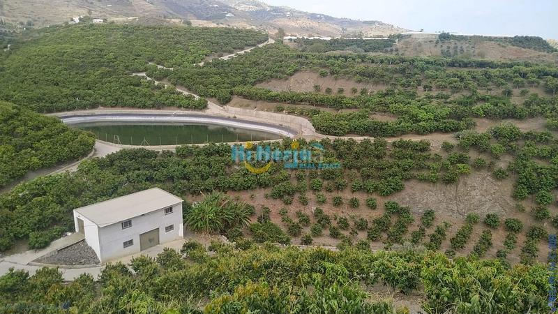 Foto ed9c7fbf-c331-4887-b892-33808c141268. Terrain résidentiel dans Hispanidad - Vivar Téllez Vélez - Málaga