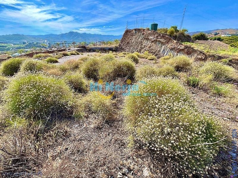 Foto 2182eed2-eae3-4e86-bc5e-93c1b4a77f9a. Terreny residencial a Camino Algarrobo - Las Arenas Vélez - Málaga