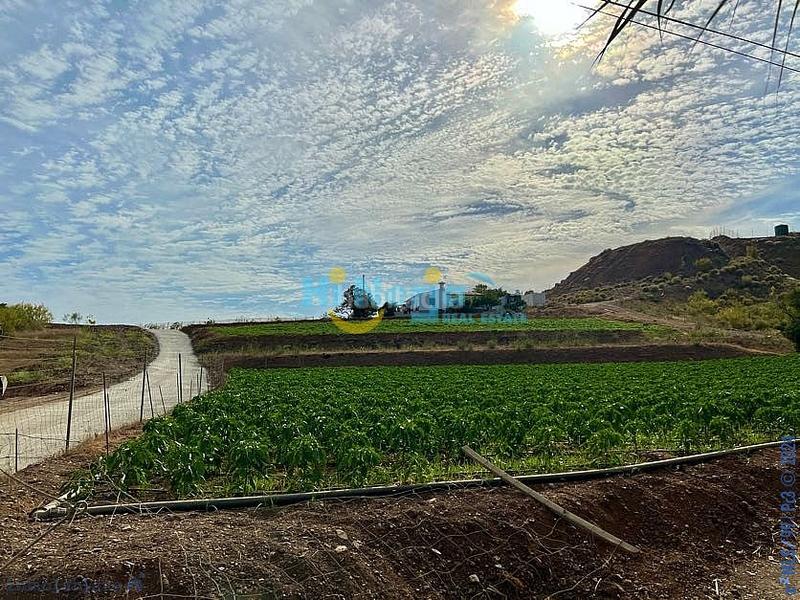 Foto 5d05b28d-65a4-4d4b-a43e-1f6d8d41421b. Terreny residencial a Camino Algarrobo - Las Arenas Vélez - Málaga