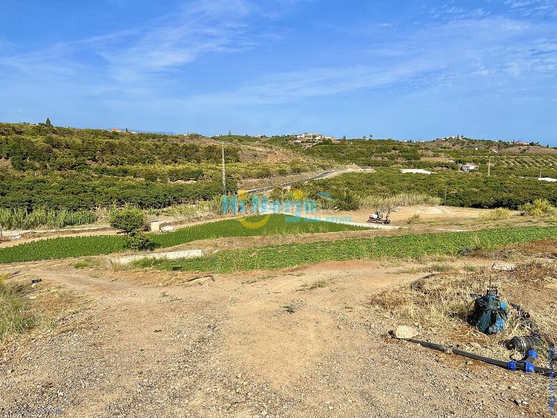 Foto d81c40f7-e2ee-48b8-8c43-ffe57297566d. Terreny residencial a Camino Algarrobo - Las Arenas Vélez - Málaga