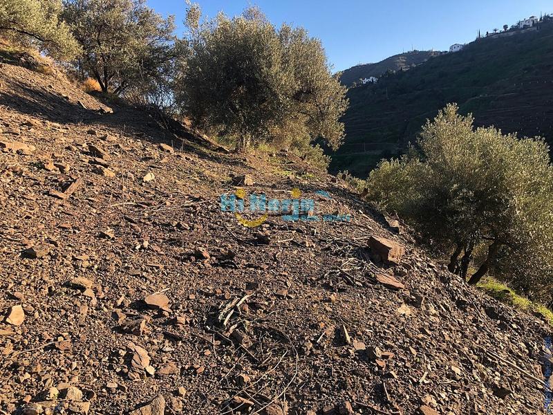 Foto a996da2e-f069-4ce3-b453-d4810278af3d. Terreno residenziale in Torrox pueblo Torrox