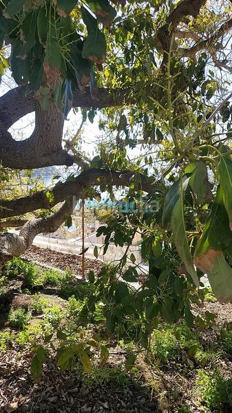 Foto 5011f7f9-e3ec-4f4c-b334-131c2ba1bb40. Residential plot in Almuñecar centro Almuñécar