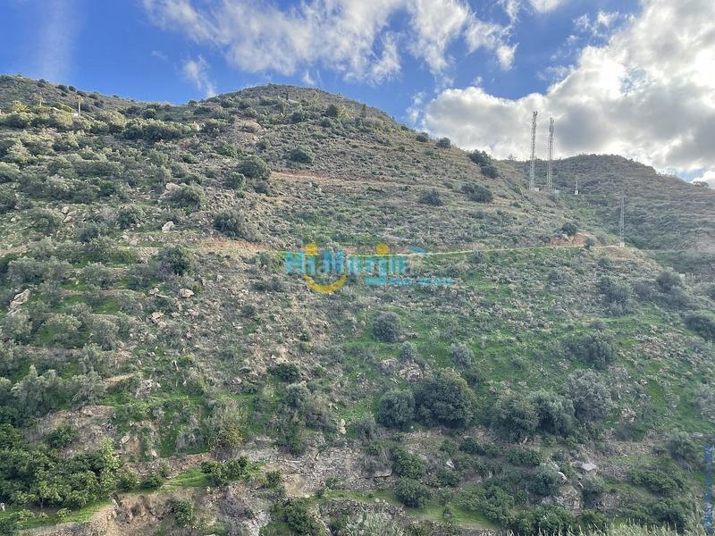 Foto 199b9a82-bdea-46d1-afb3-c204f6fd5f2e. Appartement dans Torrox pueblo Torrox