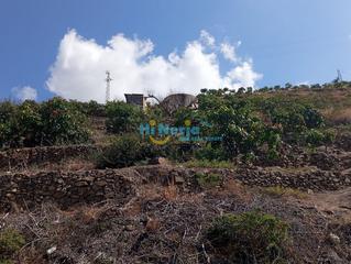 Terreno residenziale in Algarrobo Pueblo. Parcela  terreno 1500 m2 de regadio con 140 mangos y deposito pr