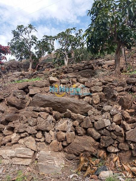 Foto 8e255761-d7d7-4c1d-a36a-10d9258b0446. Terreny residencial a Algarrobo pueblo Algarrobo