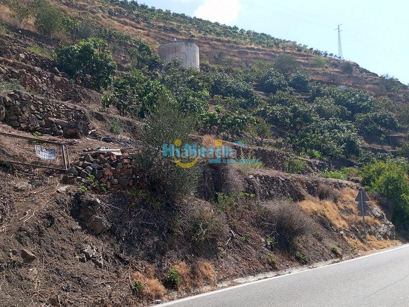 Foto 8e5b8600-d01e-4af4-92dc-60ad027dad3d. Terreny residencial a Algarrobo pueblo Algarrobo