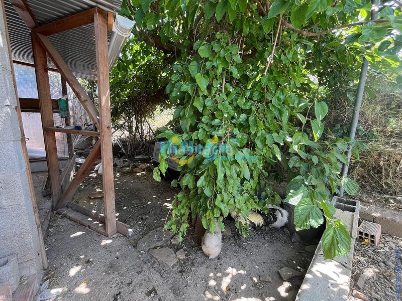 Foto 1436ac3f-3f77-4c9c-8afc-53492df43b6a. Casa se vende villa independiente con licencia turística, piscina, y gran parcela , málaga en Riogordo