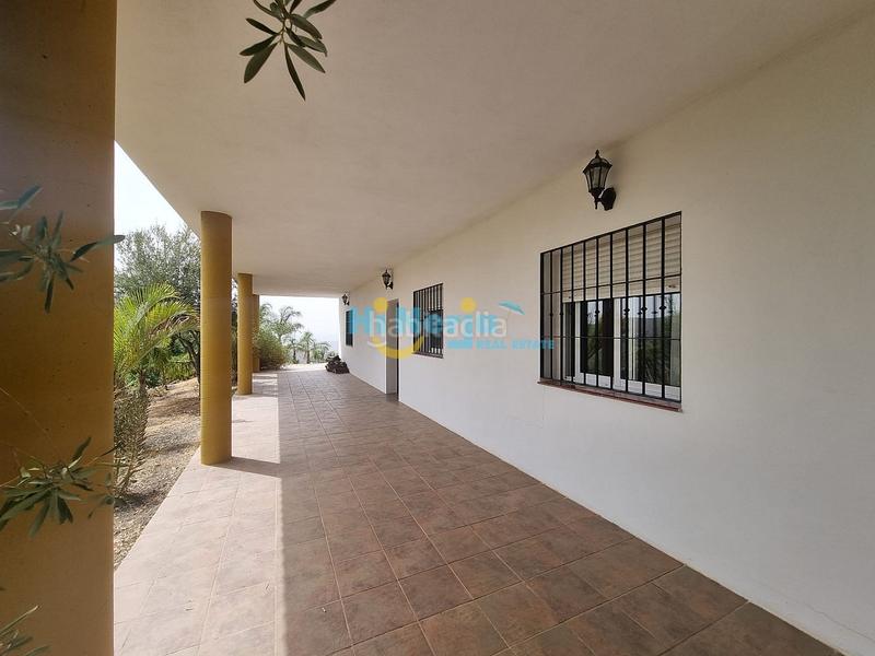 Foto 051a0ffc-86e8-43da-91e1-21d9eb26bd2e. Casa  de campo 3 dormitorios con parcela de 3242 m2 y vista despejada a la montaña en Canillas de Aceituno