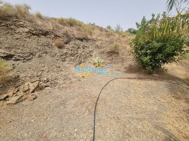 Foto 1e7c5819-99e5-4651-8856-cb85f3672dee. Casa  de campo 3 dormitorios con parcela de 3242 m2 y vista despejada a la montaña en Canillas de Aceituno