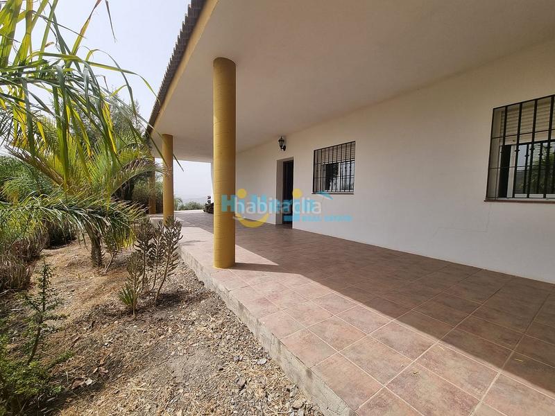 Foto 27ed15e8-b040-4075-b9b6-1d55686bd862. Casa  de campo 3 dormitorios con parcela de 3242 m2 y vista despejada a la montaña en Canillas de Aceituno
