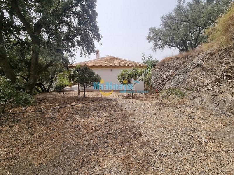 Foto 2c276d81-7cc2-46a7-b219-7ac34781b8f8. Casa  de campo 3 dormitorios con parcela de 3242 m2 y vista despejada a la montaña en Canillas de Aceituno